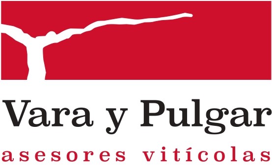 Vara y Pulgar